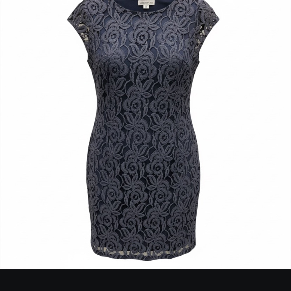 Coldwater Creek Midnight Blue Lace Mini Dress size 16P